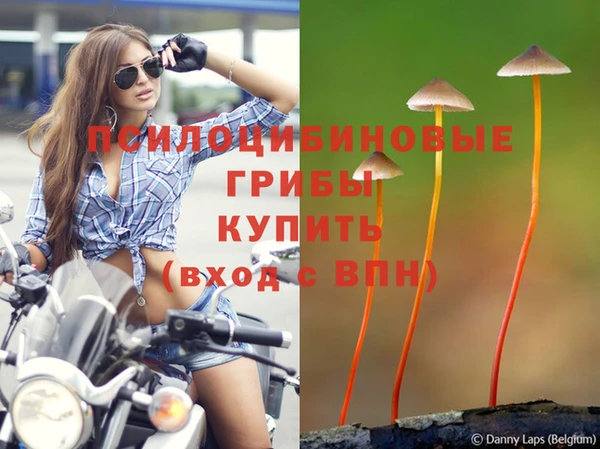 прущие крисы Балахна