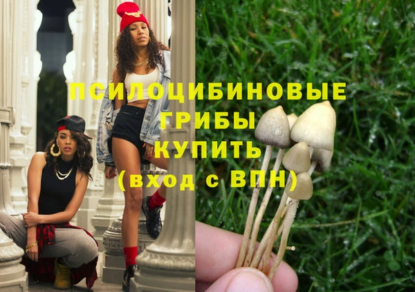 молекула духа Баксан