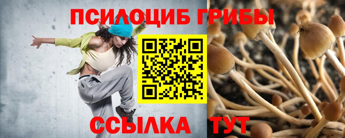 Галлюциногенные грибы Psilocybe Лыткарино